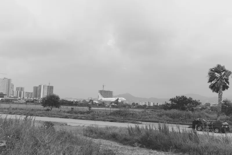 Landscape with distant cityscape, road, and palm tree in grayscale, depicting a calm transition from rural scene to urban horizon and open scenery