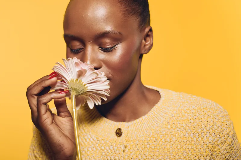 Close-up of a dark skinned African woman smelling a pale pink flower with closed eyes. She wears a yellow knitted sweater, isolated on yellow background. Concept of nature and calmness.