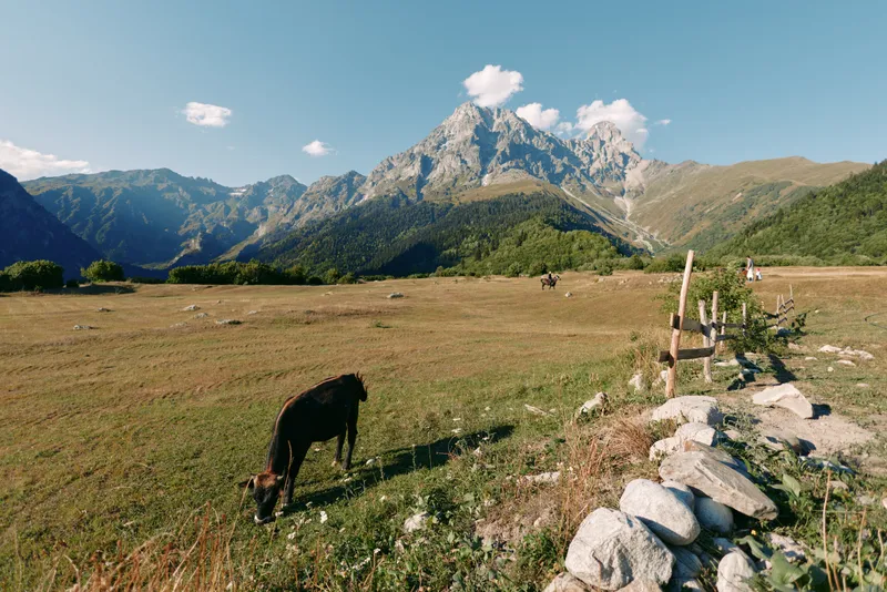 Mountain meadow with grazing horse in a wide valley, rustic fence and stone wall in foreground, alpine peaks under blue sky and scattered clouds for rural landscape scenery.