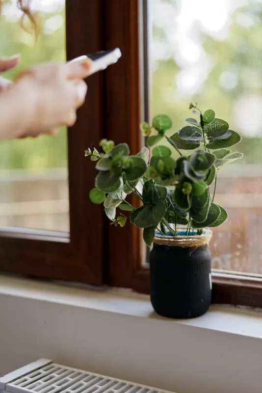 A woman cleans a sunny indoor window ledge beside a small potted plant, creating a calm relaxed moment in a cozy home.