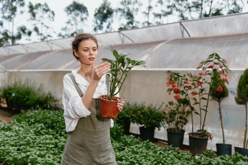 Young woman caring for a green plant in a greenhouse, showcasing nurturing emotions and a healthy lifestyle in a vibrant, seasonal setting