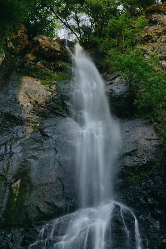 majestic waterfall cascading down rocky cliffs surrounded by lush green trees under natural daylight in a serene forest setting