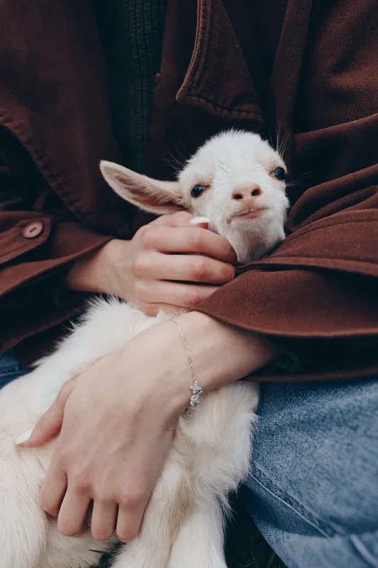 Young woman gently holds a white baby goat in her arms while wearing a brown jacket and blue jeans, showing a tender connection in a cozy lifestyle moment.