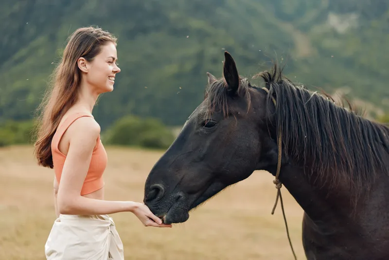 A young woman in a coral top interacts with a black horse in an open field, smiling softly as they share a calm moment, illustrating gentle companionship with animals.