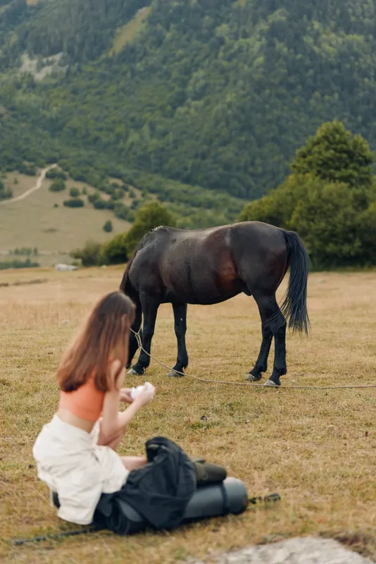 A young woman sits on a grassy field, extending a gentle hand toward a horse as they share a quiet, intimate moment in a serene countryside setting.