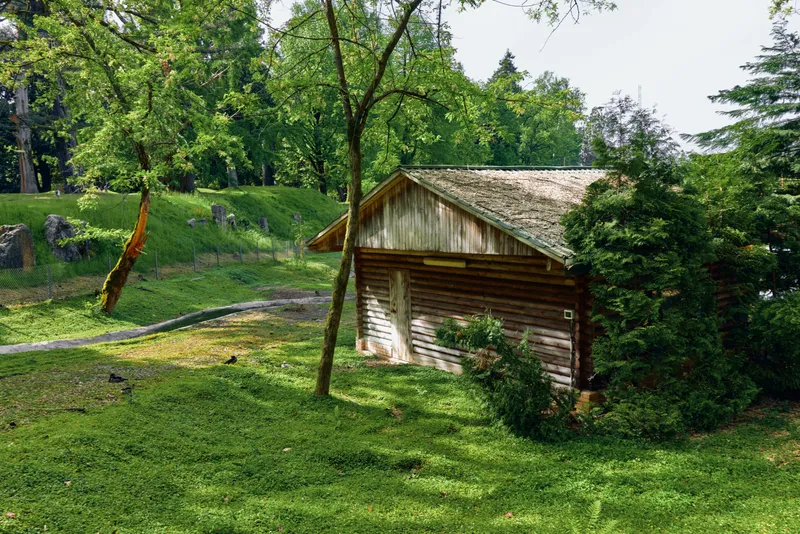 Shed cabin wooden structure in peaceful countryside surrounded by trees and lush grass, rustic outbuilding near walking path, summer greenery and natural landscape.
