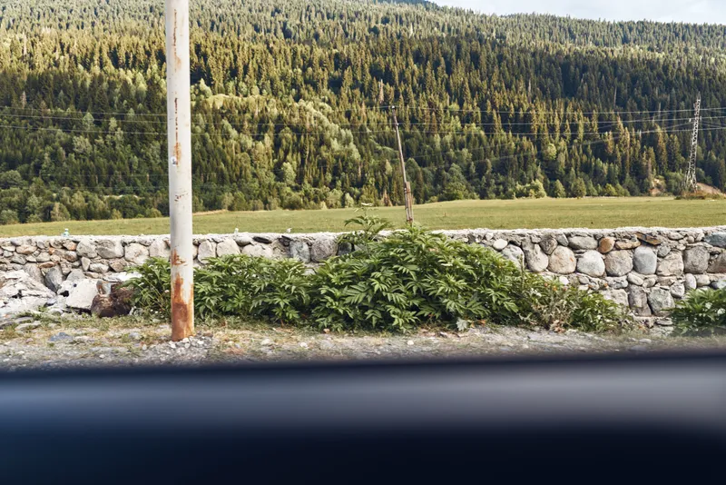 Roadside car window view with gravel shoulder stone wall and utility pole, green shrubs and distant forested hillside, rural landscape from vehicle