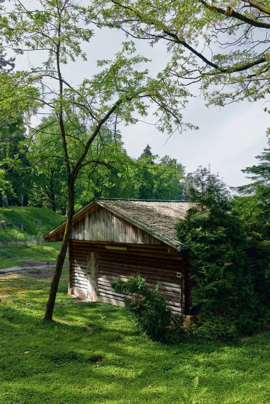 Cabin wooden shelter in a forest clearing with tall trees and green grass, rural cottage scene with rustic shed and timber roof, sunlight filtering through branches for peaceful outdoor retreat.