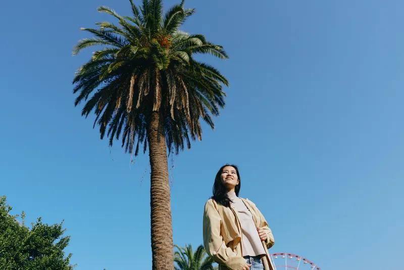 Palm tree against a clear blue sky as a casually dressed woman gazes upward in a sunny outdoor park setting, capturing a moment of exploration and serenity