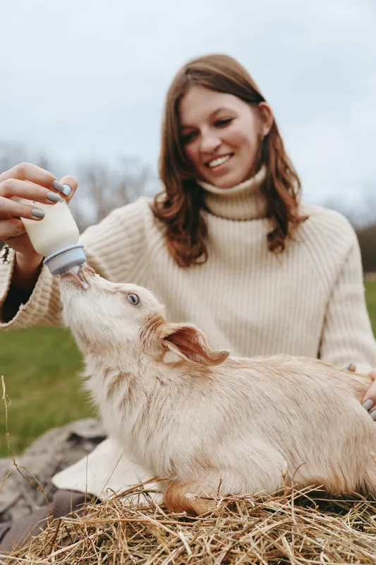 Lifestyle scene of a woman bottle feeding a baby goat outdoors on a farm, soft sweater, hay bedding, warm light, gentle interaction, farmyard ambience, calm nature mood