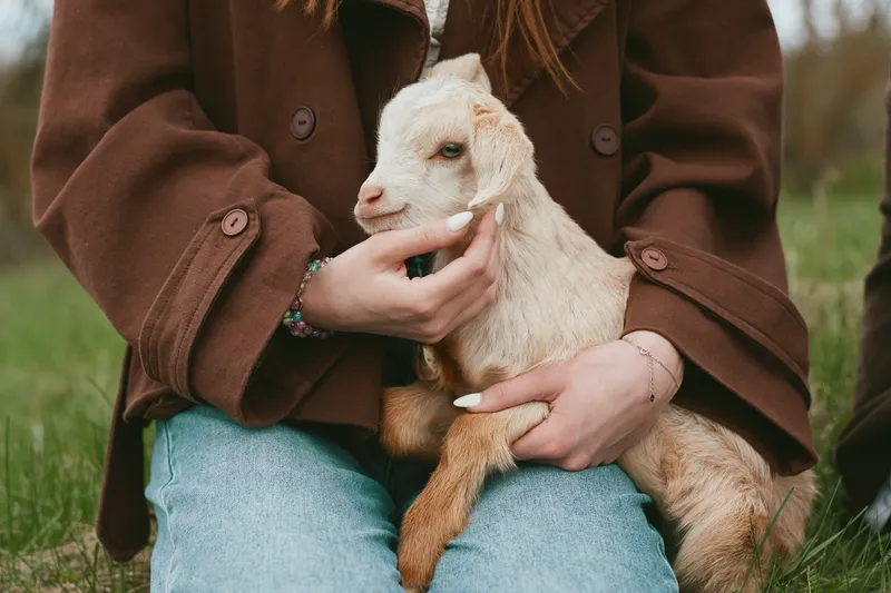 Lifestyle scene with a person in a casual brown coat and jeans cradling a gentle goat kid on a grassy field, rural atmosphere, warm light, affection, human connection, outdoors solace, calm