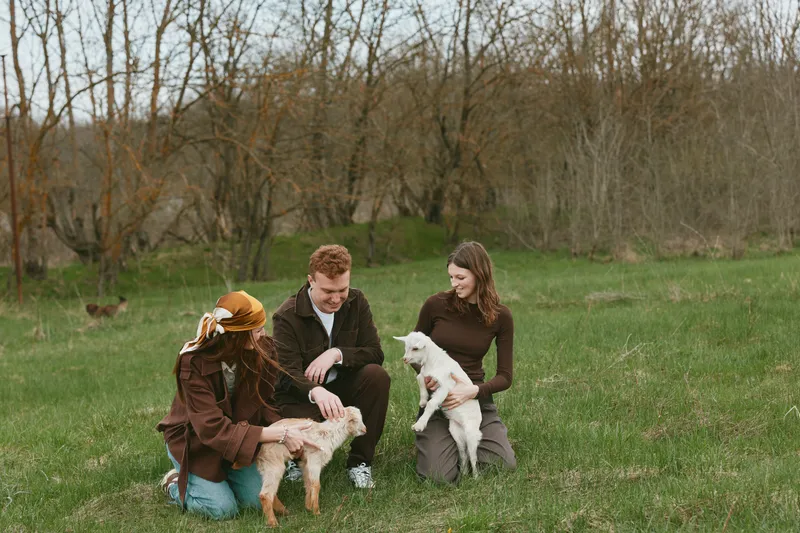 Casual outdoor scene with four friends in a meadow field, two small dogs nearby, everyone smiling and interacting, warm natural light, relaxed lifestyle moment, candid friends enjoying animals and