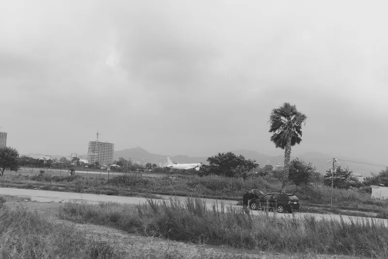 Monochrome landscape with distant urban silhouettes, a lone car on a highway, tall palm tree, and open fields under a cloudy sky for a calm travel scene.
