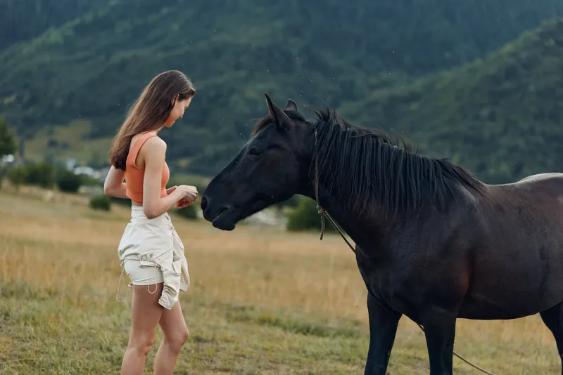 A young woman stands in a grassy field, softly touching a dark horse. The scene conveys calm connection, gentle curiosity, and a tranquil rural atmosphere under open skies.