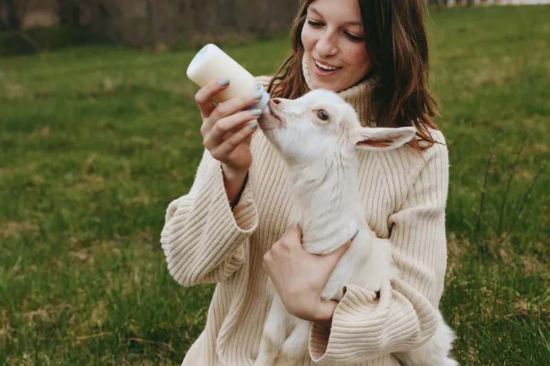 A young woman in a beige sweater feeds a white baby goat with a bottle while sitting on green grass in a natural outdoor setting during daytime lifestyle moment.