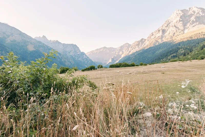 Mountain meadow valley with dry grass and wildflowers in foreground, panoramic landscape of rugged peaks and alpine slopes under clear sky, serene natural scenery.