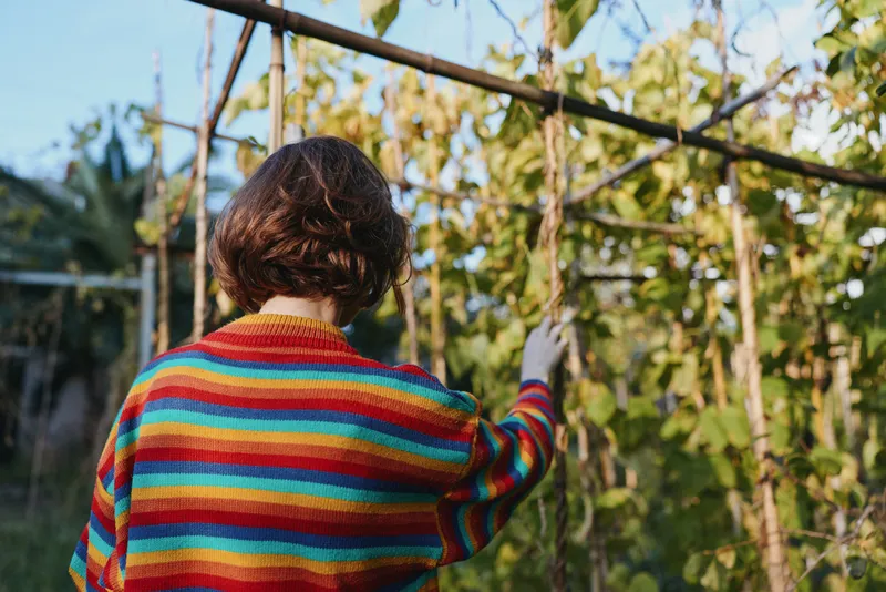 Woman in a striped sweater, back view with short hair in a tropical outdoor garden among trellis vines, touching leaves and exploring nature; casual outfit, contemplative lifestyle and fashion scene.