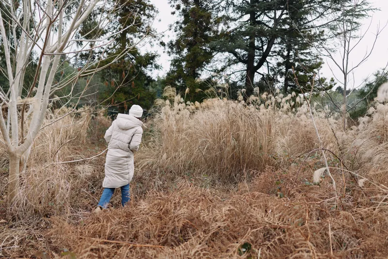 Person in a light winter coat walking through tall dry grasses in a field, trees in the background, capturing a quiet moment of solitude and nature in a rural landscape setting