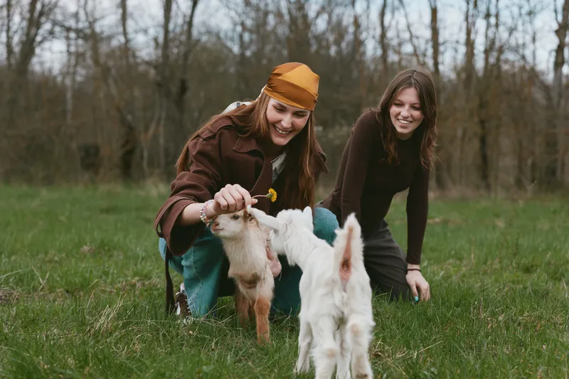 Goat kid interaction outdoors, two women in a grassy field, smiling as they pet a playful kid, sunlit natural moment, casual clothing, relaxed energy, countryside vibe