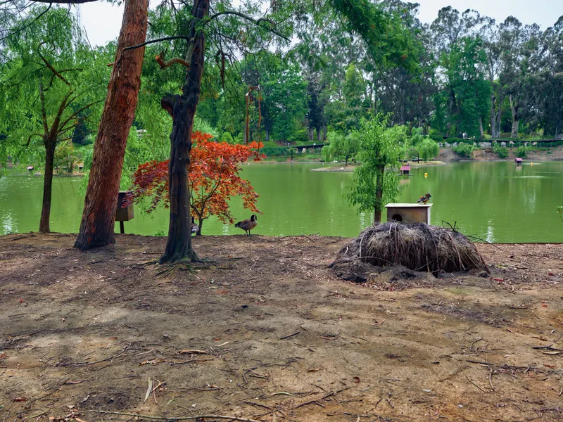 Lake, trees, park, shore, pond, nature, bench in a peaceful lakeside park with green water, mixed foliage and a small red tree by the dirt shore, bird nest mound and tranquil scenery.