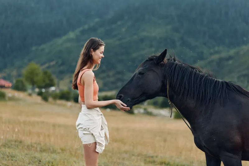 A young woman in casual attire stands in a sunlit field, tenderly offering her hand to a calm horse, creating a peaceful, intimate moment in nature.