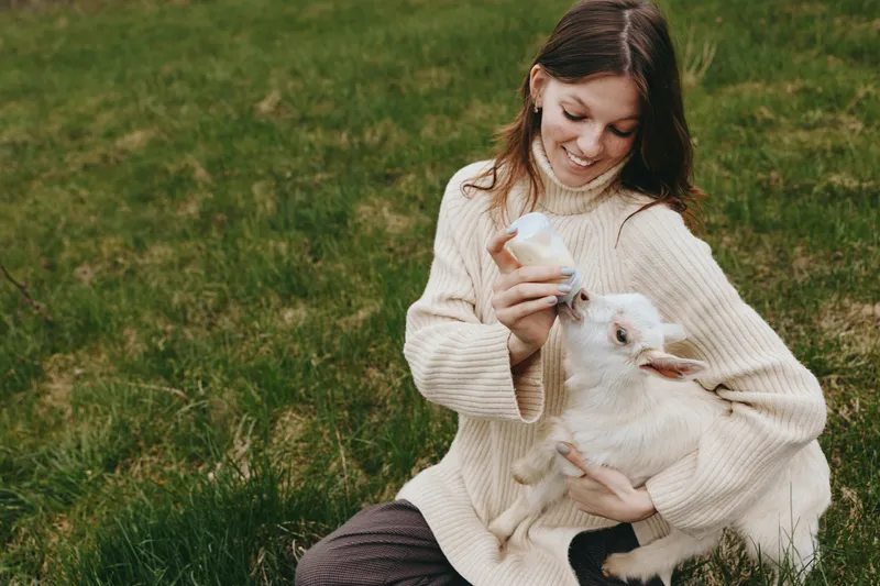 Cheerful woman outdoors feeding a goat kid, cozy sweater, sunlit moment, relaxed posture, soft breeze, natural colors, lush grass backdrop, countryside lifestyle