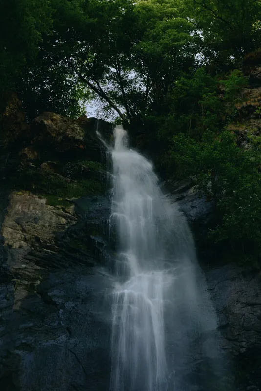 Majestic waterfall cascading down rocky cliffs surrounded by dense green forest foliage under a moody, overcast sky in a serene natural setting.