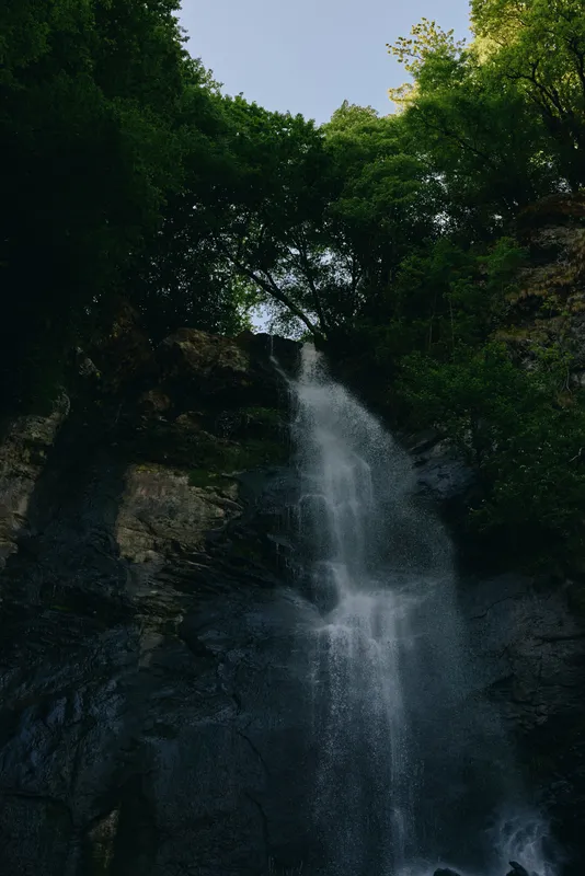 Waterfall cascading down rocky cliff surrounded by lush green forest under clear sky, creating a serene natural landscape with dynamic flowing water.