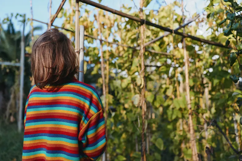 Woman in a colorful striped sweater with her back to camera in a vineyard among green plants and wooden trellis, outdoors gardening scene with autumn foliage and warm sunlight.