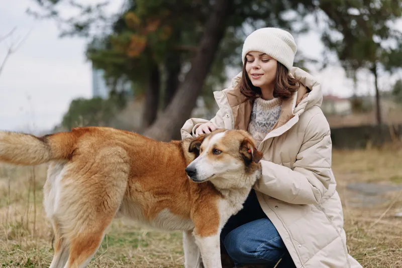 A woman in a beige coat pats a large dog in an outdoor park, with trees and a grassy field, conveying companionship, calmness and affectionate outdoor bonding.