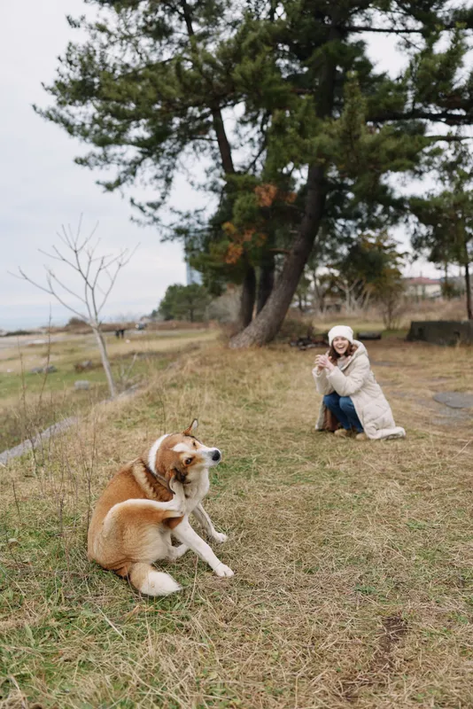 A woman kneels beside a dog in a grassy park, photographing the canine with a camera, capturing a candid outdoor moment amid trees and open landscape