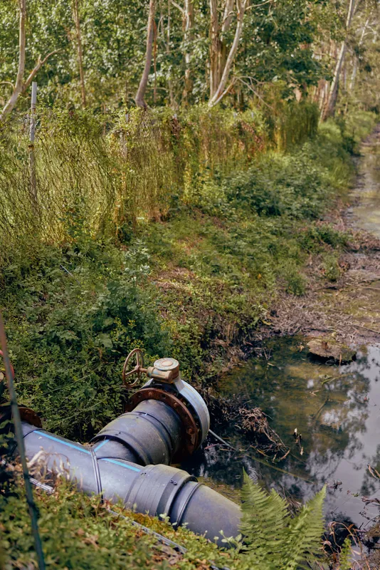 Pipe drainage pollution creek forest water outflow from rusted pipeline into wetland, murky runoff and vegetation showing contamination, erosion and environmental impact in rural landscape.