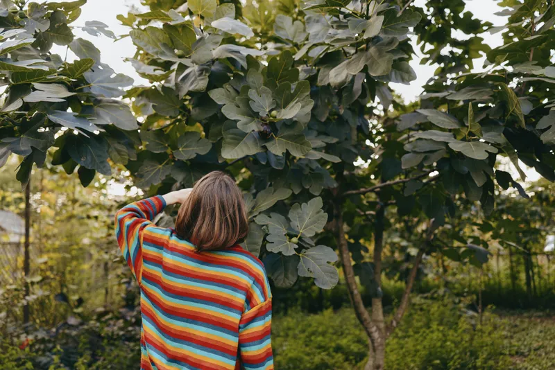 Woman in a colorful striped sweater looking up at large leaves in a lush garden, standing with curly hair visible, young adult exploring backyard nature in a relaxed casual outfit.