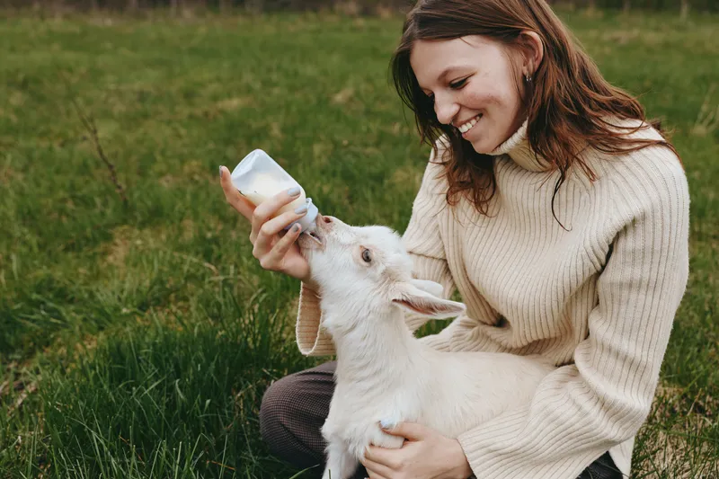Young woman in a cream sweater feeds a white baby goat with a bottle while sitting on green grass in a natural outdoor setting, showing care and tenderness.
