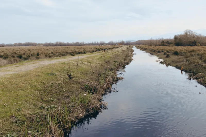 River landscape in countryside, calm water flowing past grassy banks, cloudy sky, wide outdoor nature scene, early morning light, peaceful lifestyle mood, natural colors, no people quiet