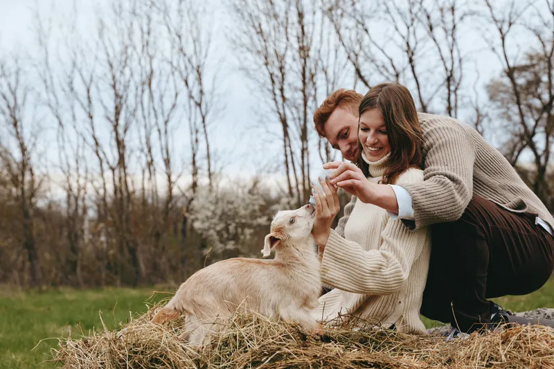 Goat kid feeding scene with a smiling couple outdoors, sharing a gentle moment in a rural meadow. A warm, rustic lifestyle moment capturing care, bonding, and joy in a natural family setting.
