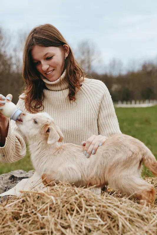 A woman in a knit sweater feeds a friendly goat kid outdoors, perched on straw. The scene conveys wholesome livestock care, gentle interaction, and a cozy rural lifestyle moment in a sunlit field.