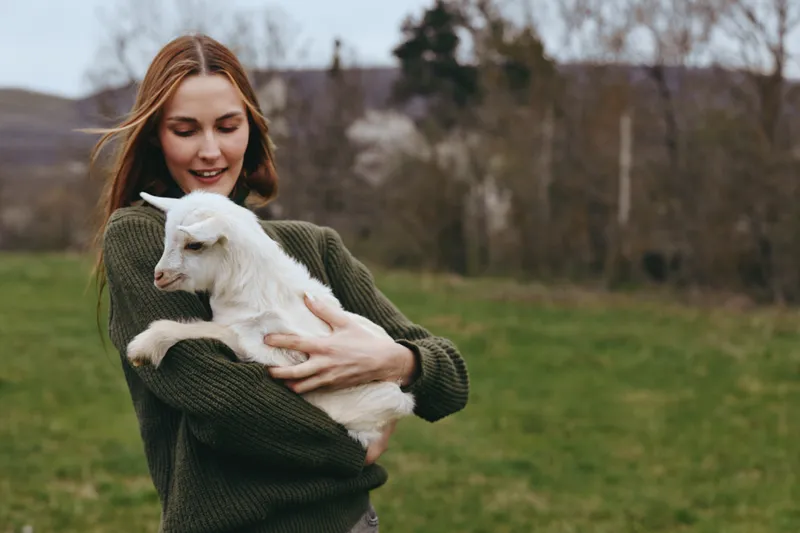 Woman in a green sweater cradles a white goat kid in a sunny field, showcasing countryside lifestyle, care, and affection. Natural light highlights warmth, calm, and the bond between human and animal.