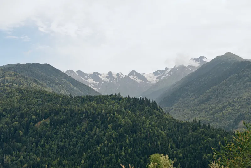 Mountain forest landscape with distant snow capped peaks and layered green hills.
