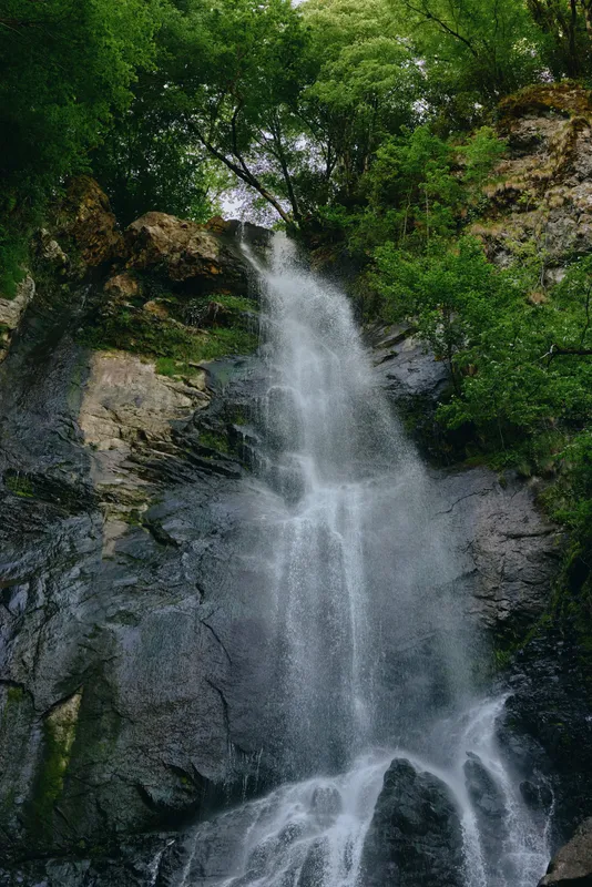 Waterfall cascading down rocky cliff surrounded by lush green trees, creating a serene and natural landscape full of fresh water and vibrant foliage.
