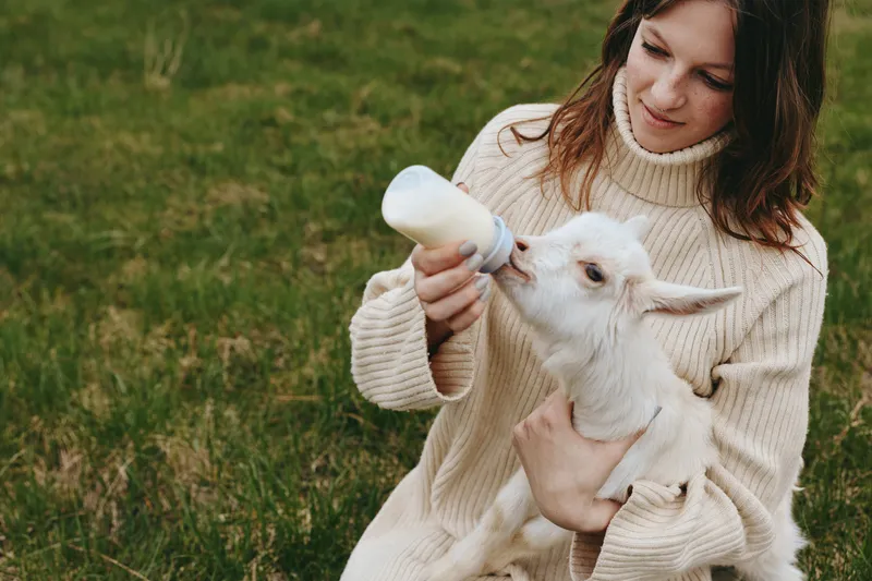 Cheerful woman outdoors, feeding a white goat kid with a bottle, cozy sweater, sunlit field, candid moment, gentle interaction, natural tones, pastoral scene, relaxed mood