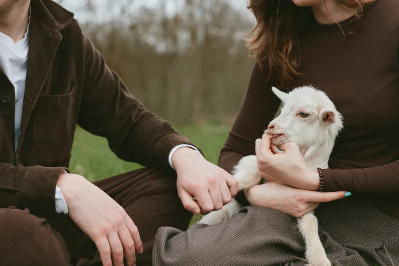 Two adults outdoors gently cradle a white goat kid, smiling and calm. Close, caring interaction conveys rural lifestyle, animal bonding, and affection in a simple pastoral setting today.