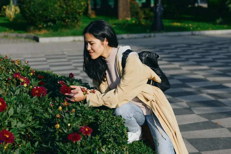 Gardening, flowers, outdoors, tending, female activity in a sunny park as a woman kneels beside vibrant blooms, admires blossoms with a backpack and beige coat