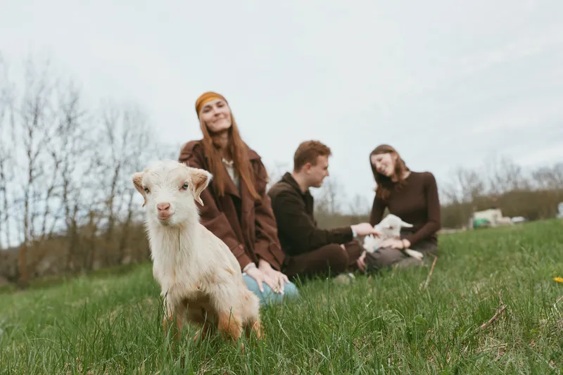 A young woman and man sit on grass in casual brown clothes while a white goat kid stands in the foreground on a cloudy day in a natural outdoor setting.