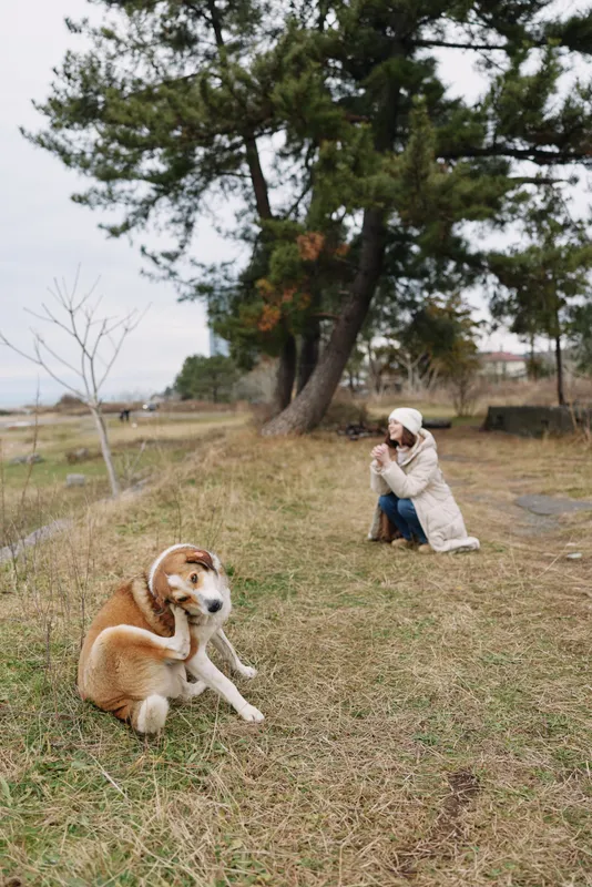 Dog and woman in a park, outdoors, as the woman crouches to photograph the friendly hound on a calm grassy field near trees.