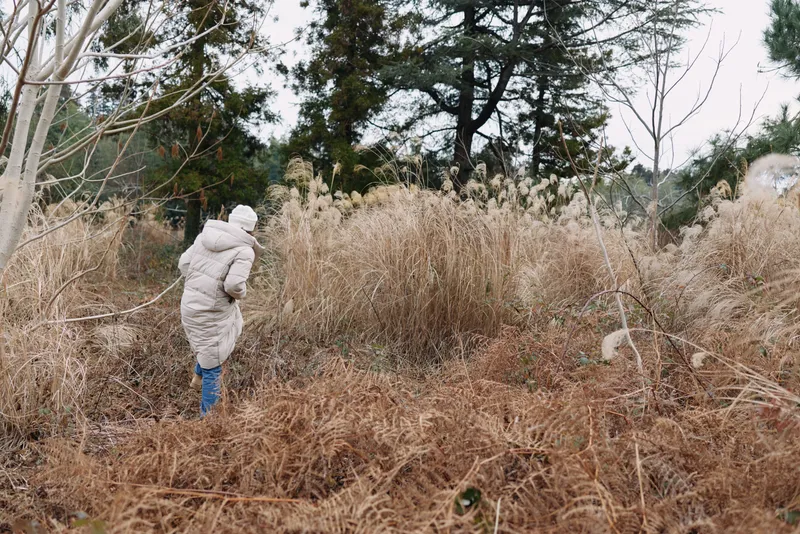 Winter outdoors scene with a person in a light coat walking through tall dry grasses in an open field, trees in the background, conveying solitude, exploration and nature