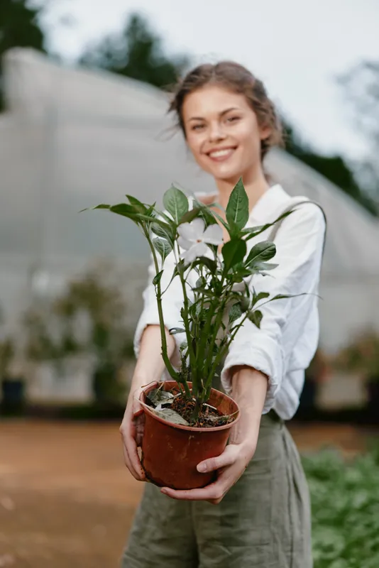 Young woman smiling and holding a potted plant, showcasing a connection to nature and gardening, set in a green environment with soft colors