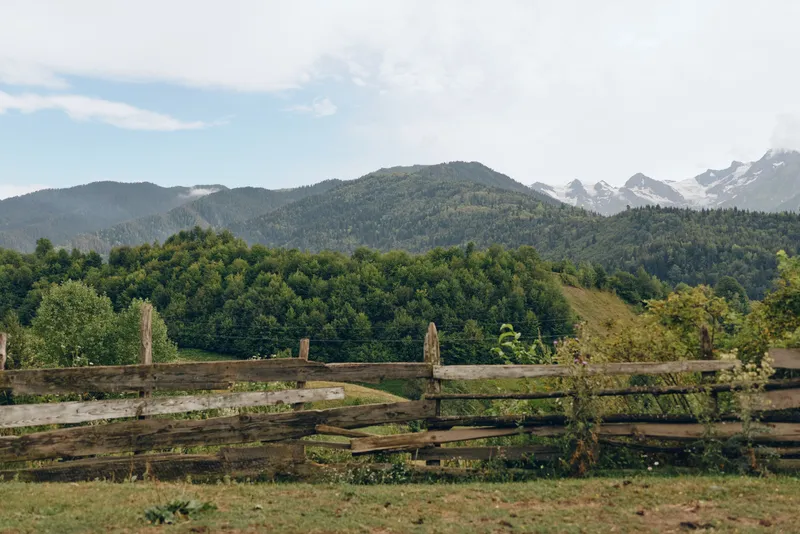 Fence, meadow, forest, mountains, landscape, rural wooden fence with grassy meadow and forest leading to distant mountain peaks under blue sky