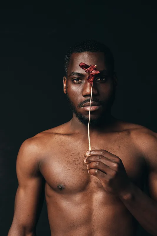 Creative visual portrait of dark skinned African man with bare chest holding dried red flower in front of face on black background in artistic designer style concept.