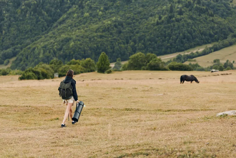 A lone traveler walks across a grassy plain with a rolling suitcase, backpack, and camera gear, heading toward distant hills and a grazing cow.